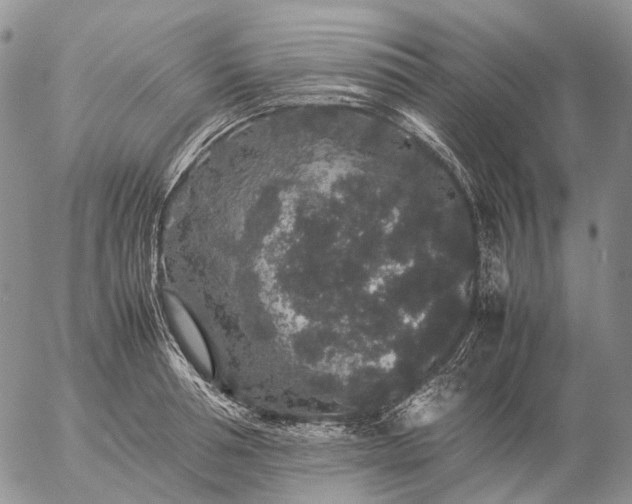 X0000057100994200509231711