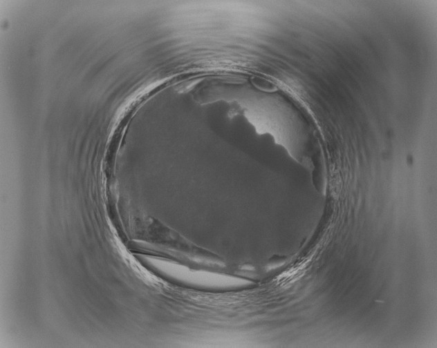 X0000057100995200509231711