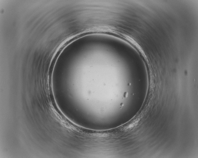 X0000057100996200509231711