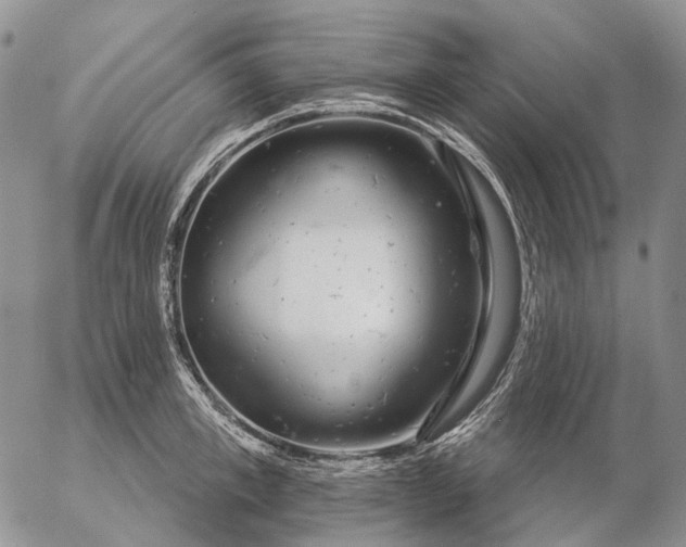 X0000057100997200509231711