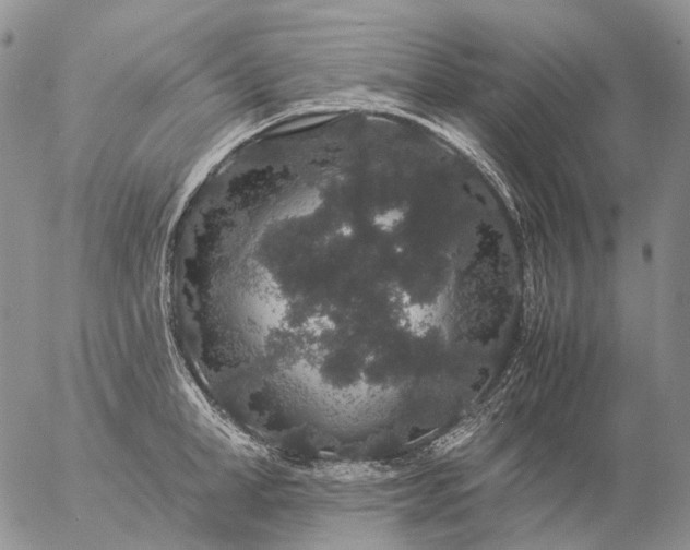 X0000057100998200509231711