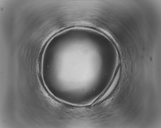 X0000057100999200509231711