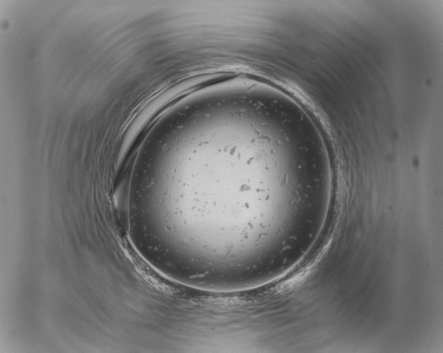 X0000057101001200509231711