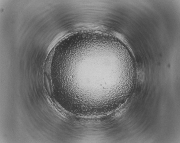 X0000057101002200509231711