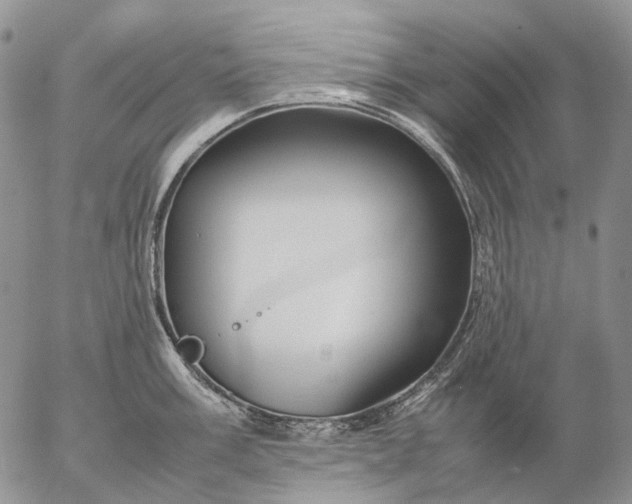 X0000057101003200509231711