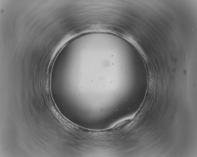 X0000057101004200509231711