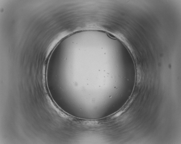 X0000057101006200509231711