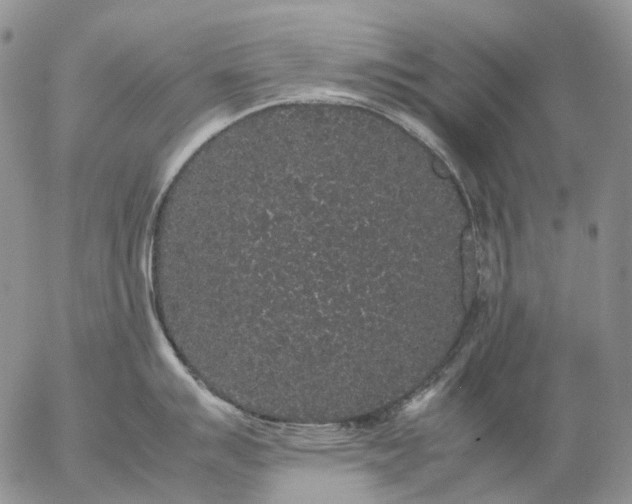 X0000057101007200509231711