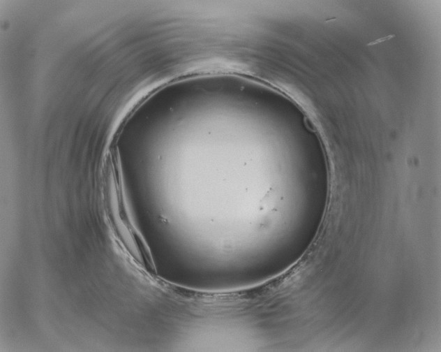 X0000057101008200509231711