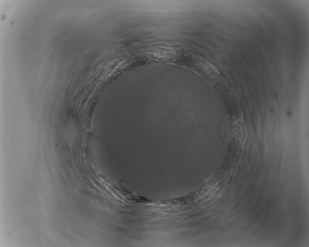 X0000057101009200509231710