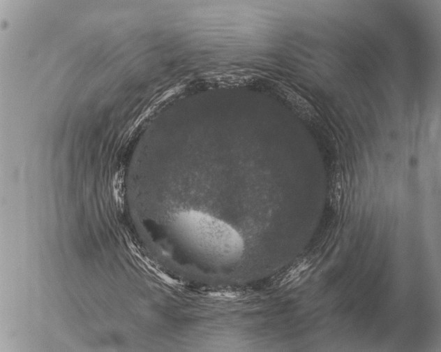 X0000057101010200509231710