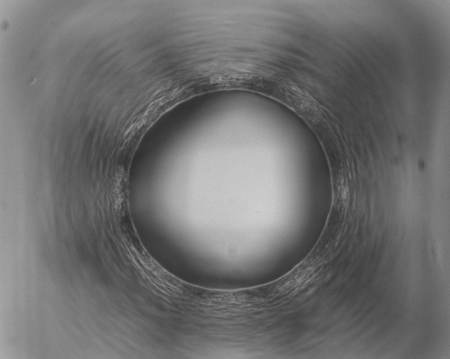 X0000057101012200509231710