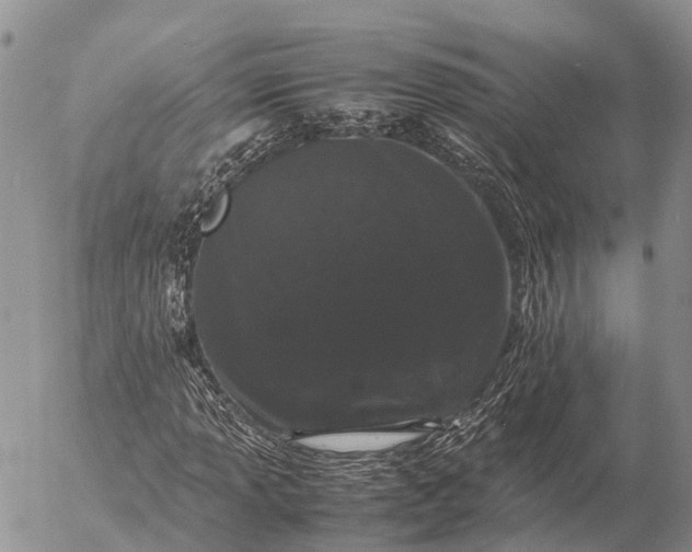 X0000057101013200509231710