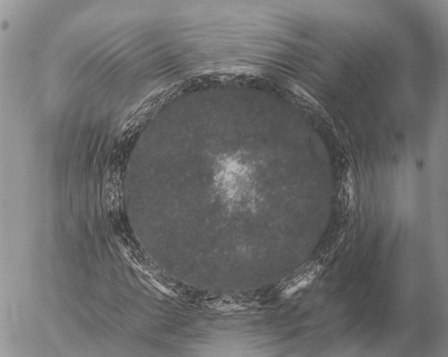 X0000057101014200509231710