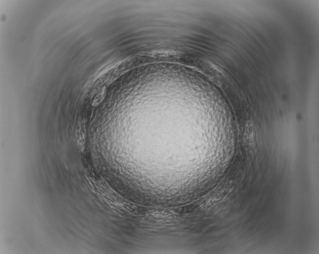 X0000057101015200509231710