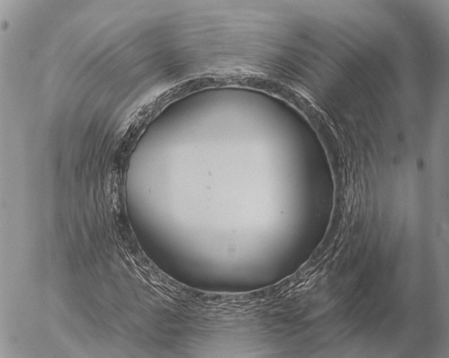 X0000057101016200509231710