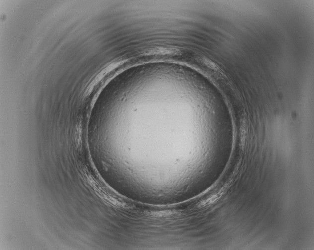 X0000057101017200509231710