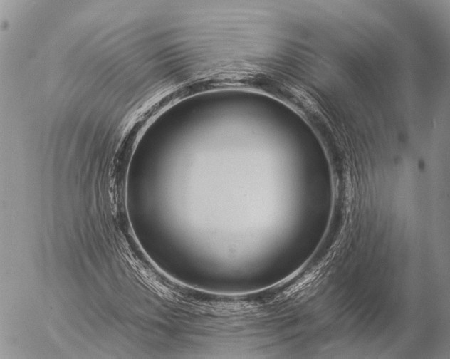 X0000057101018200509231710