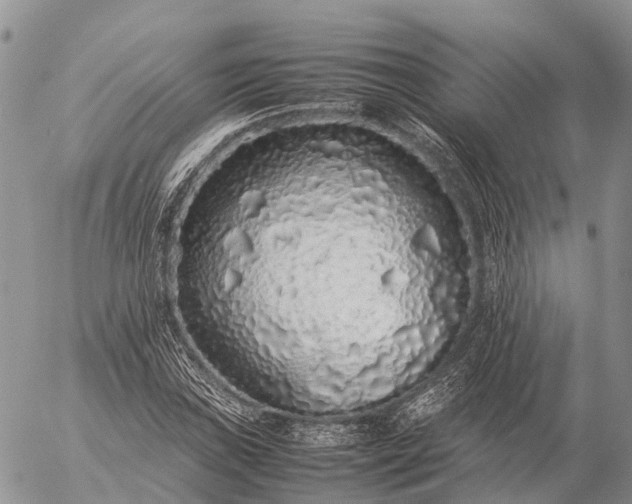 X0000057101019200509231710