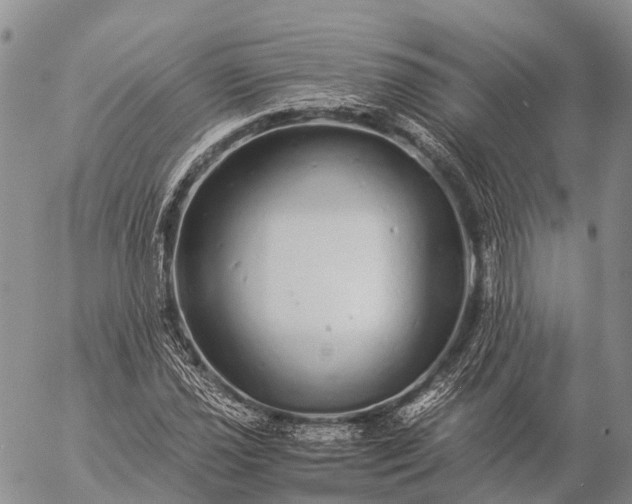 X0000057101021200509231710