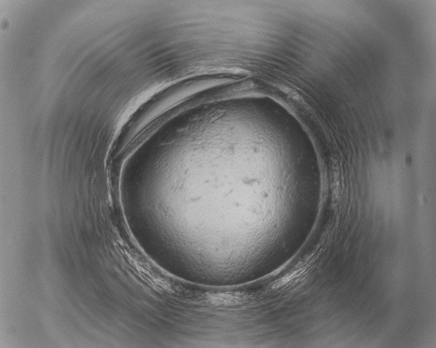 X0000057101022200509231710