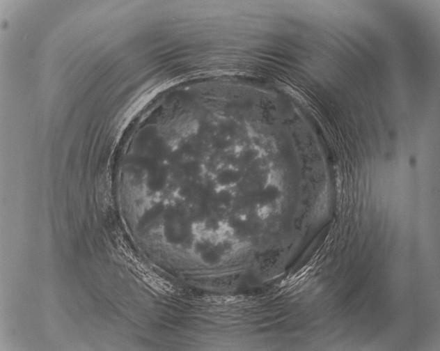 X0000057101023200509231710