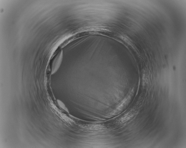 X0000057101024200509231710