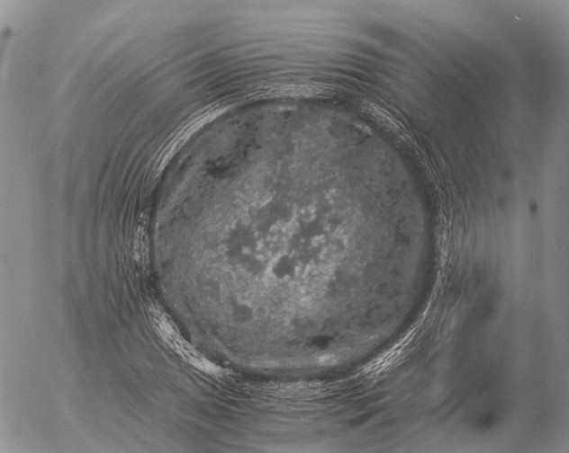 X0000057101025200509231710