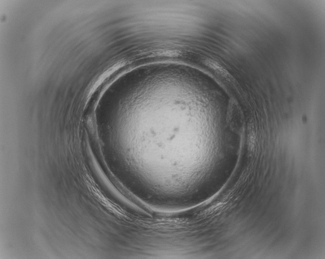 X0000057101026200509231710