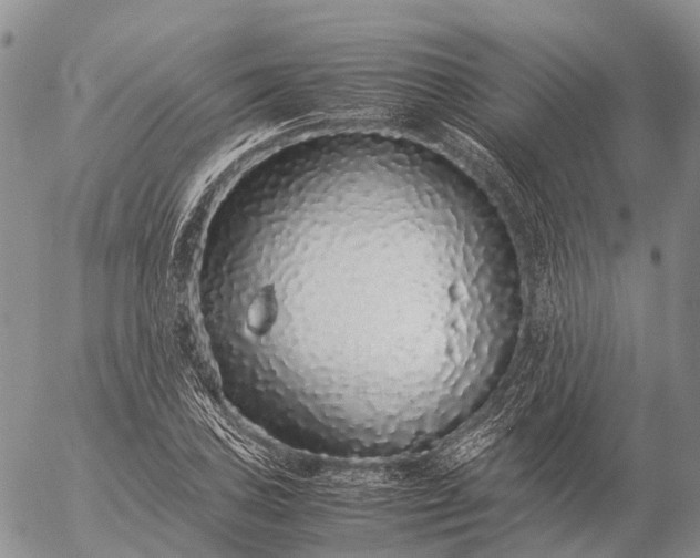 X0000057101027200509231710