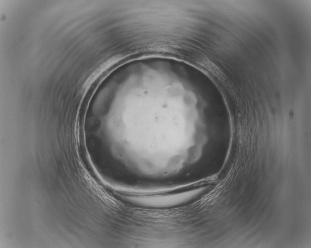 X0000057101028200509231710