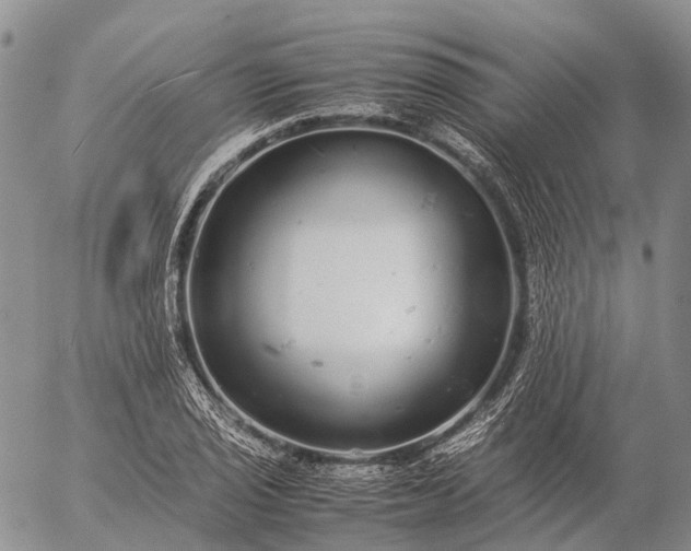 X0000057101029200509231710