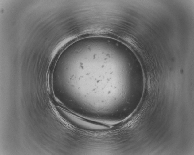 X0000057101030200509231710