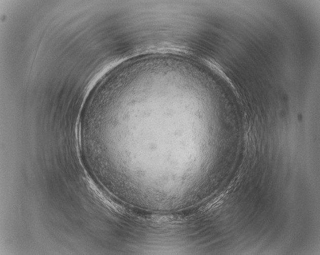 X0000057101032200509231710