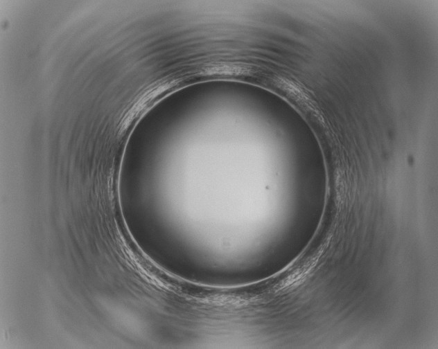 X0000057101033200509231710