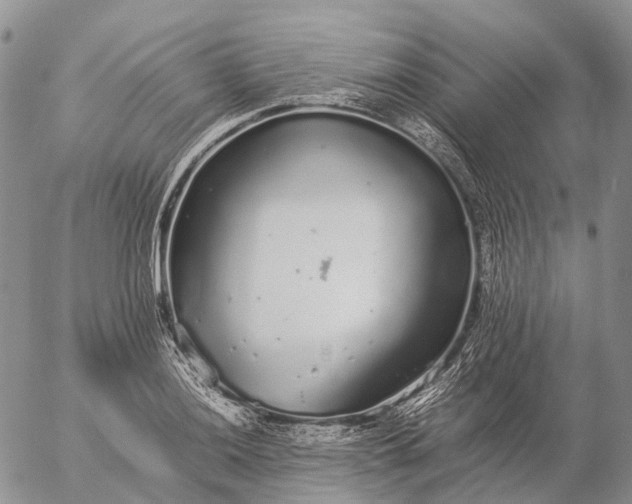 X0000057101036200509231710