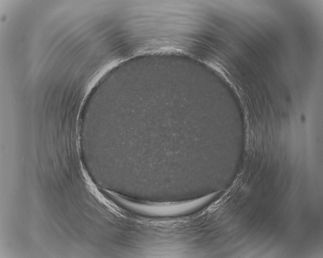 X0000057101038200509231710