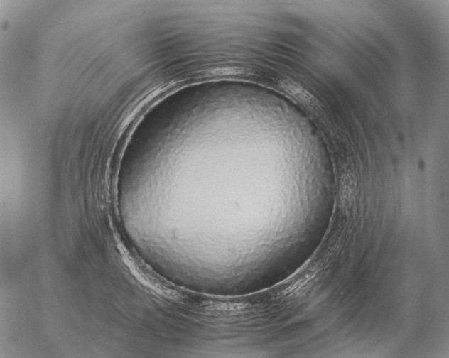 X0000057101039200509231710