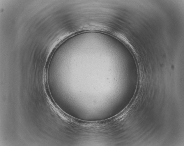 X0000057101040200509231710