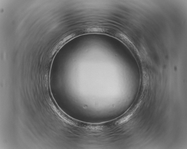 X0000057101041200509231710