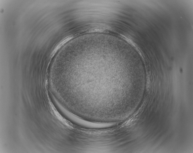 X0000057101042200509231710