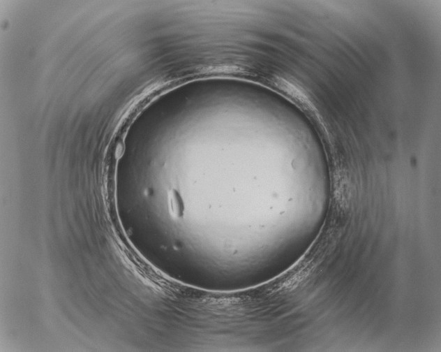 X0000057101043200509231710