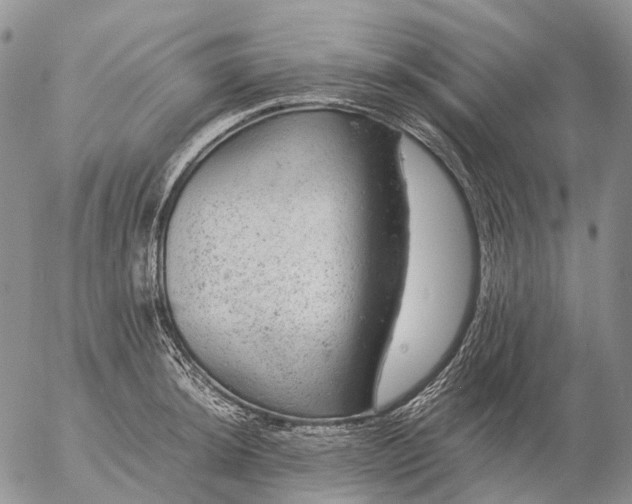 X0000057101044200509231710