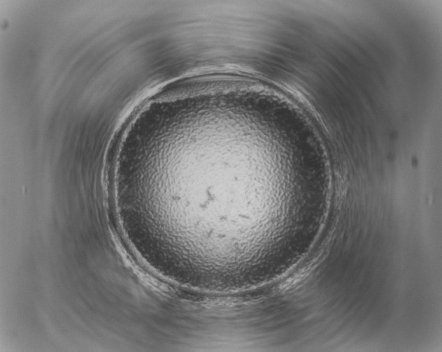 X0000057101046200509231711