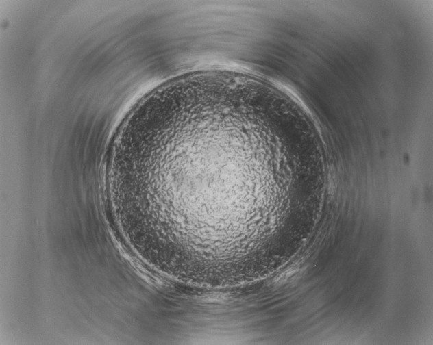 X0000057101048200509231711