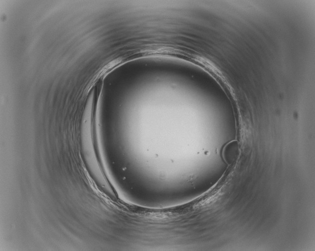 X0000057101049200509231711