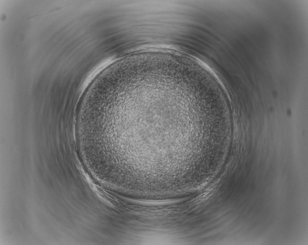 X0000057101050200509231711