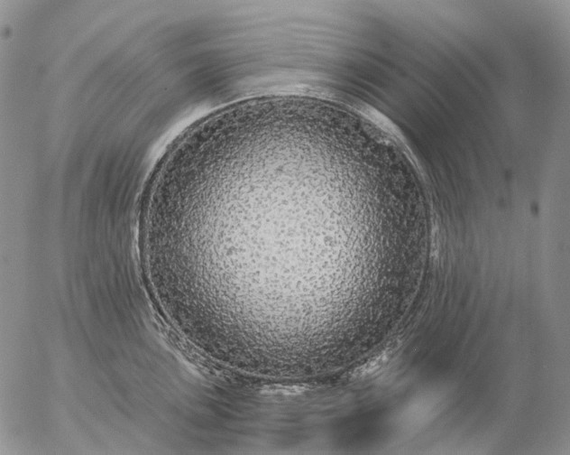 X0000057101051200509231711