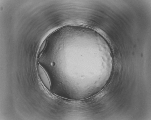 X0000057101052200509231711