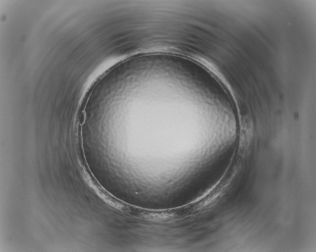 X0000057101053200509231711